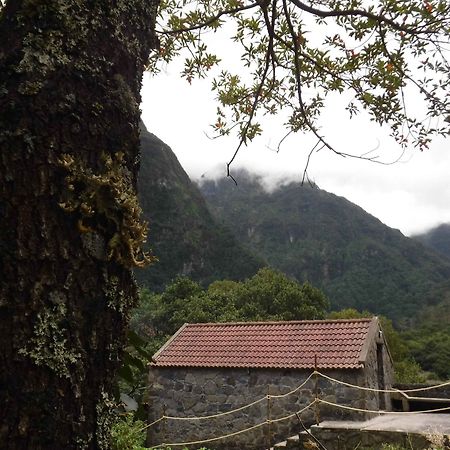 Nature Inn Madeira - Glamping Porto Moniz Exterior foto